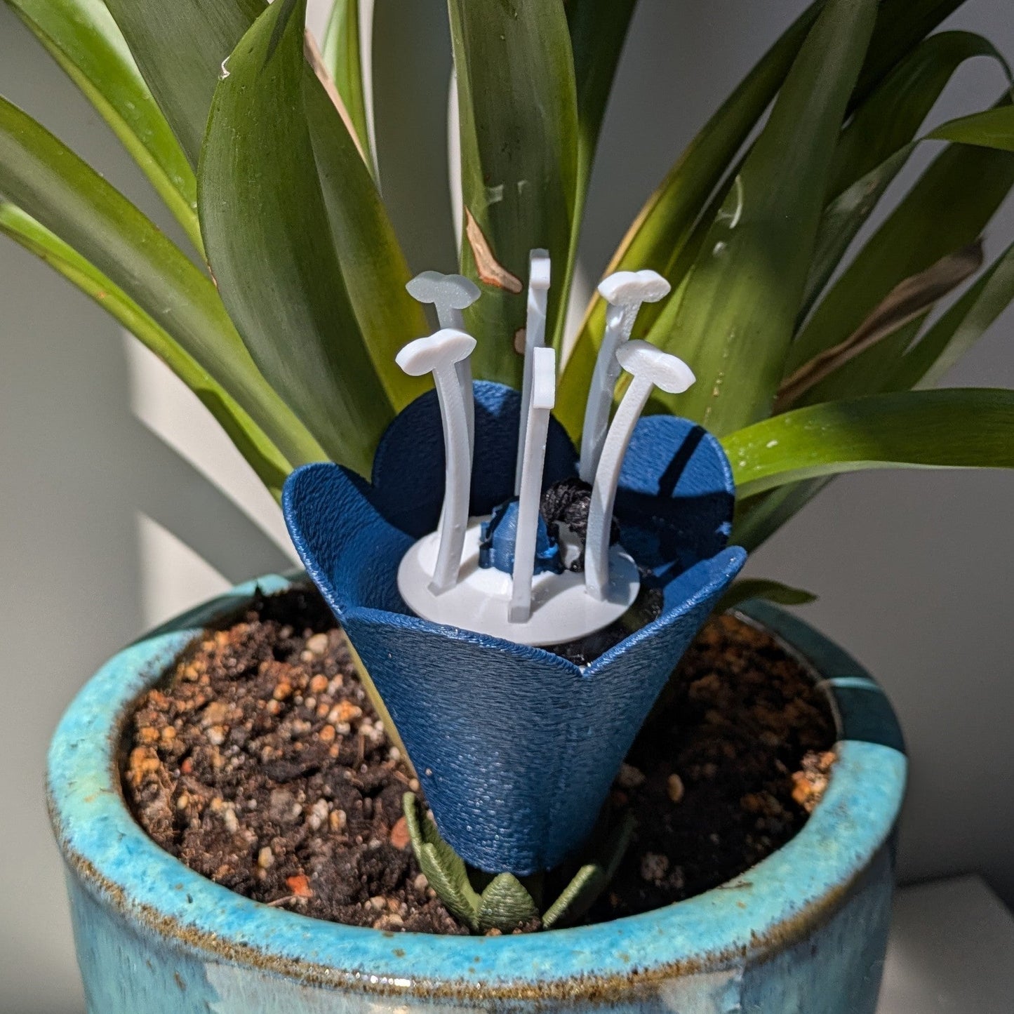 FLOWERS - Self-Watering Inserts