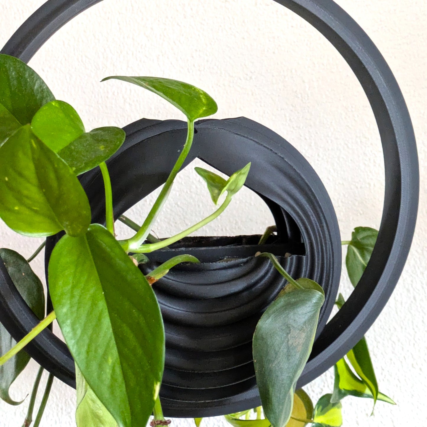 ORBIT - Hanging-Planter