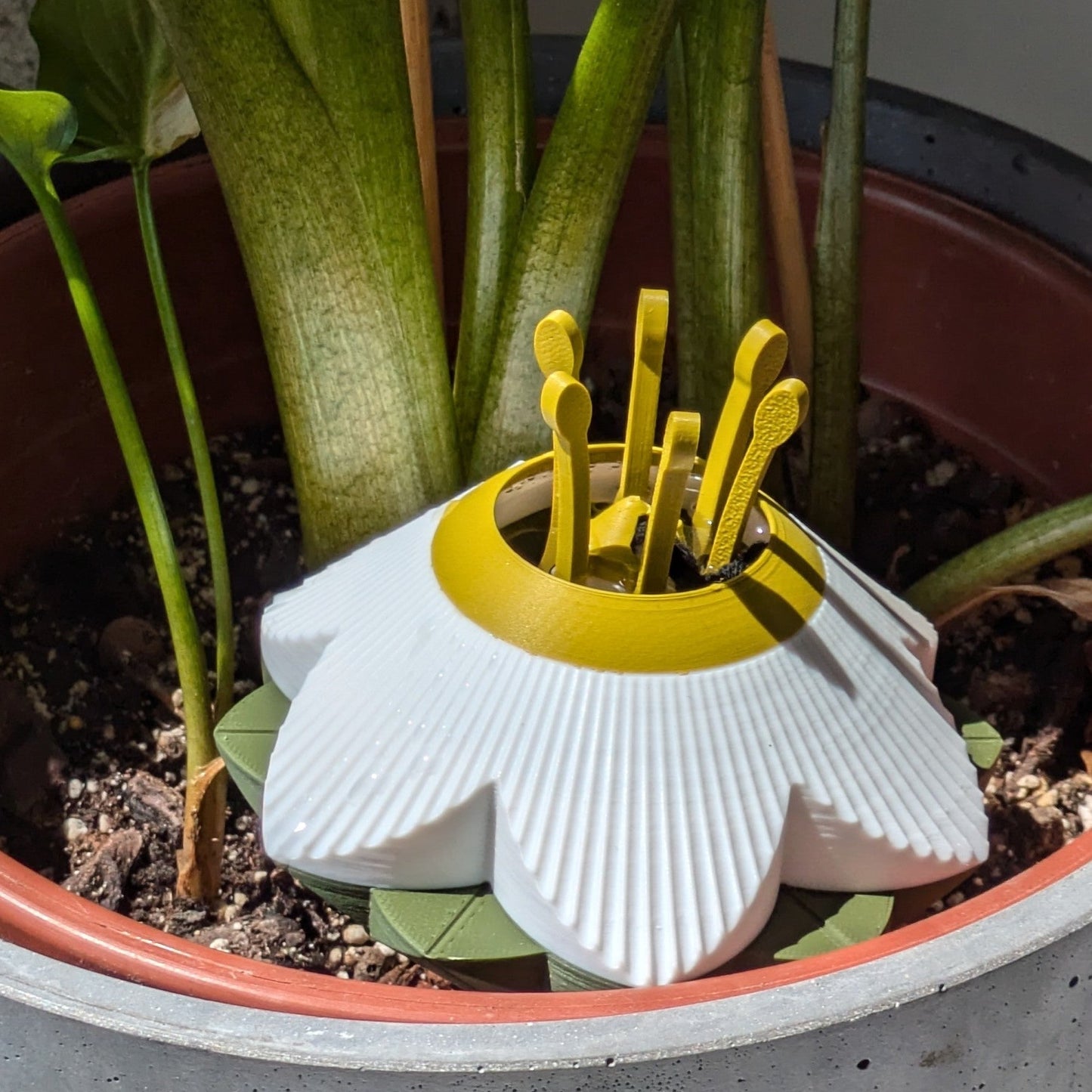 FLOWERS - Self-Watering Inserts