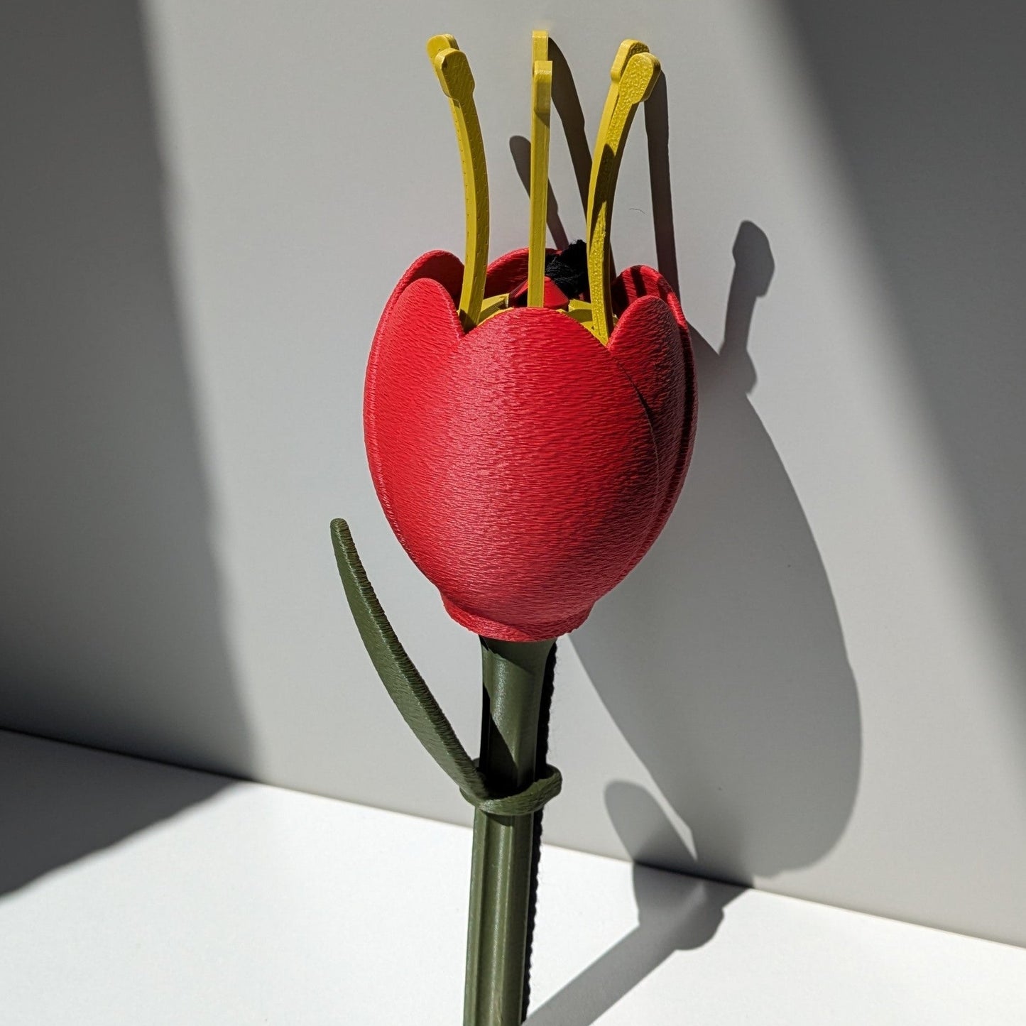 FLOWERS - Self-Watering Inserts