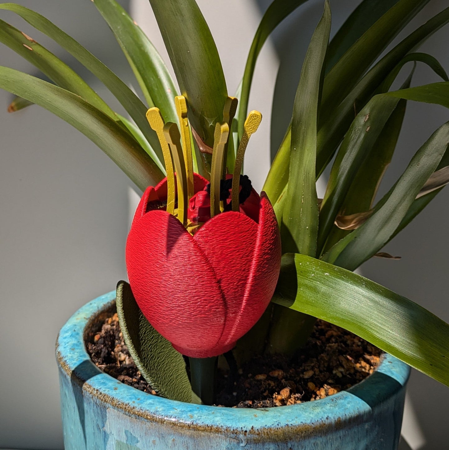 FLOWERS - Self-Watering Inserts