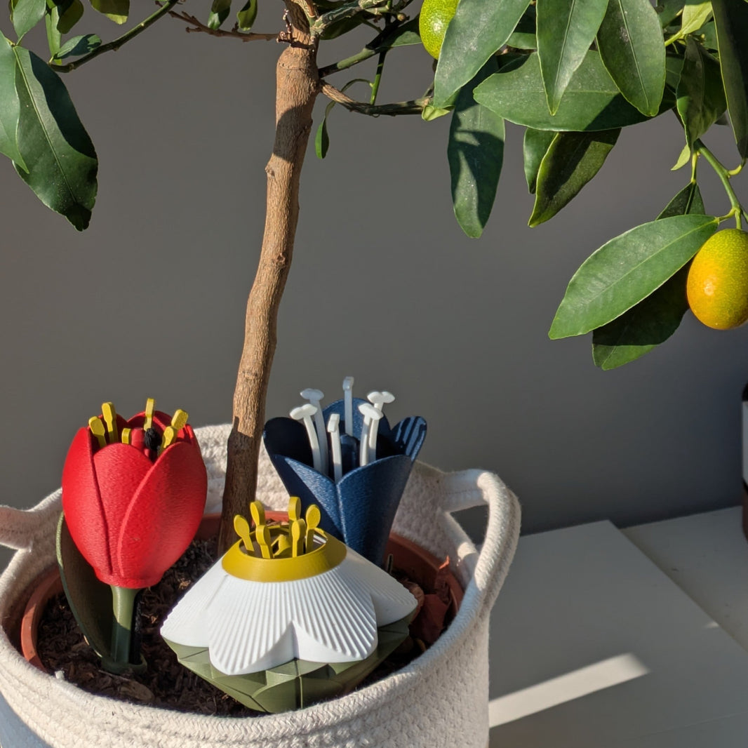 FLOWERS - Self-Watering Inserts